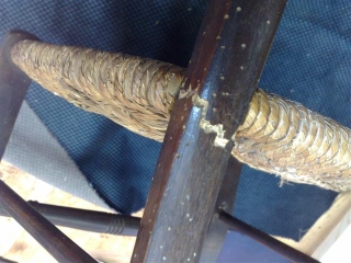 Woodworm can also damage furniture.